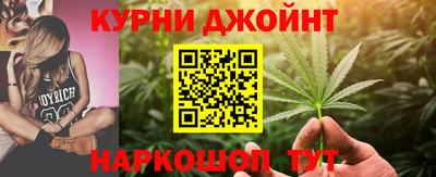 мдпв Бийск