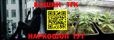 индика Балаково