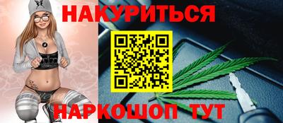 мдпв Бийск