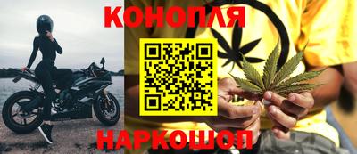мдпв Бийск