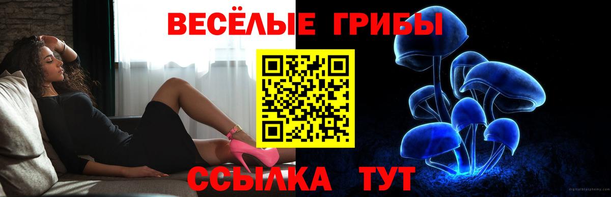 Псилоцибиновые грибы мухоморы  Жигулёвск 